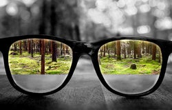 Glasses in a forest, clarity